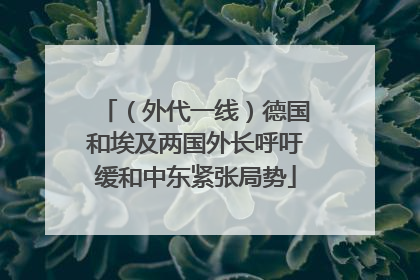 （外代一线）德国和埃及两国外长呼吁缓和中东紧张局势